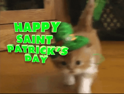 Irish ☘️