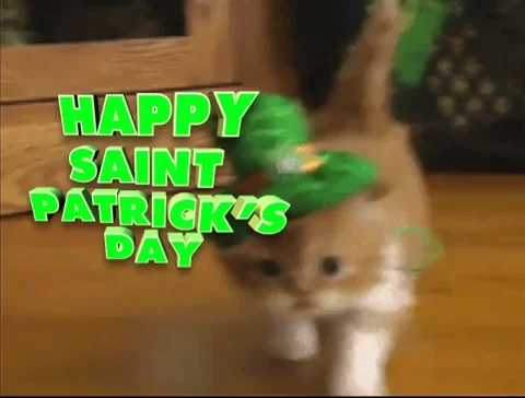 St Patricks Day Kitten GIF