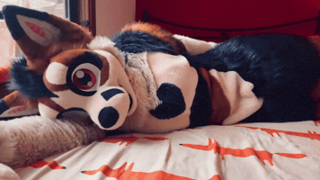 Cuddle Snuggle GIF