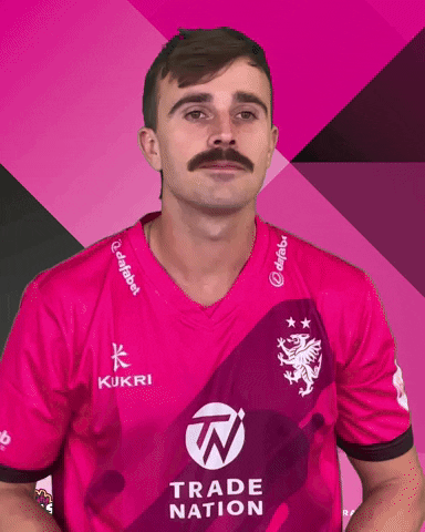 Ben Green Win GIF by Somerset County Cricket Club