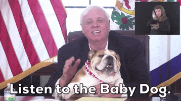 West Virginia Dog GIF by GIPHY News