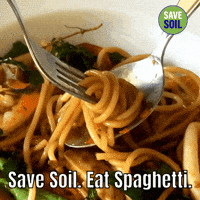 Eating-spaghetti GIFs - Get the best GIF on GIPHY