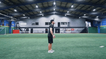 split squat jumps GIF by Hockey Training