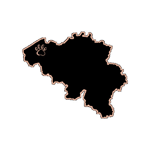 PawcheeMiawa Sticker