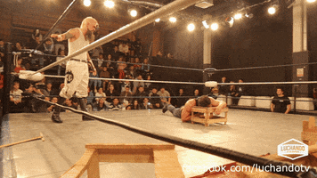 lucha libre wrestling GIF by Luchando en las Américas