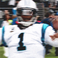 carolina panthers gave seattle his whole arsenal of dances GIF