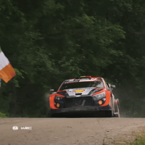 Jump Driving GIF by FIA World Rally Championship