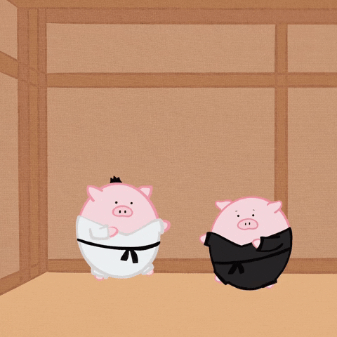 Karate-pig GIFs - Get the best GIF on GIPHY