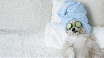 Puppy Chilling GIF by evite
