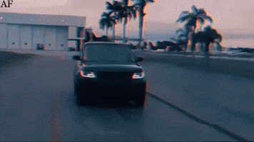 America First Nick Fuentes GIF