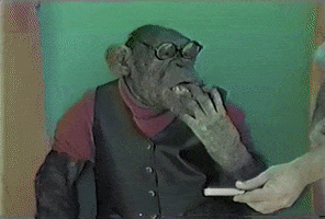 george burns smoking GIF by America's Funniest Home Videos