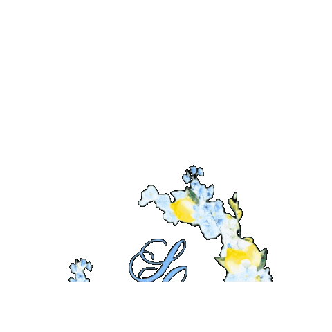 antonellarussoweddingplanner Sticker