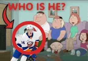 New York Islanders GIF