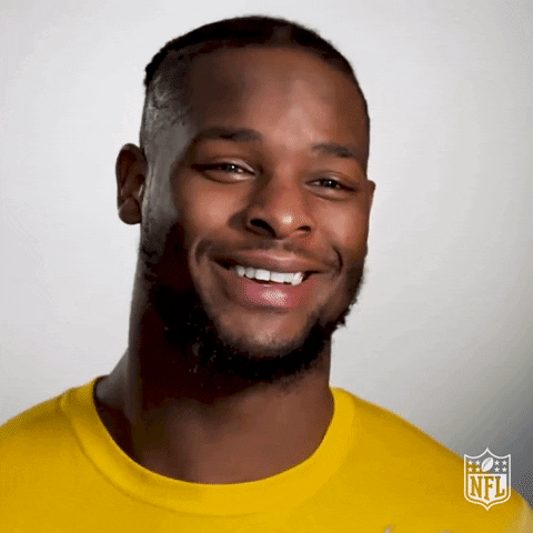 Pittsburgh Steelers Lol GIF by NFL