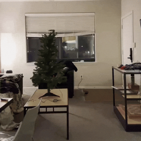 Cham GIF