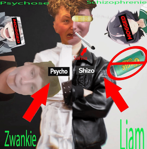 Liam Schizo GIF