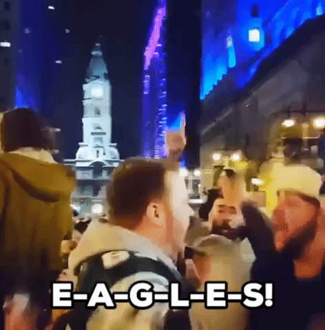 Fly Eagles Fly Football GIF by Storyful