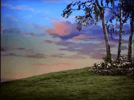 Lassie GIF