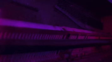 music video life GIF by DallasK