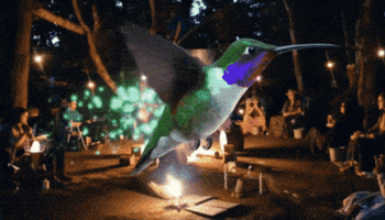 Templo do Autoconhecimento GIF