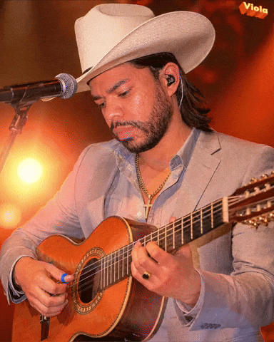Country Music Singer GIF by Dalvan Ferraz