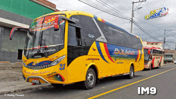 luismiguelsanchez  GIF