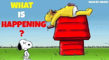 What Is Happening Homer Simpson GIF