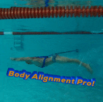 Body Alignment Pro GIF