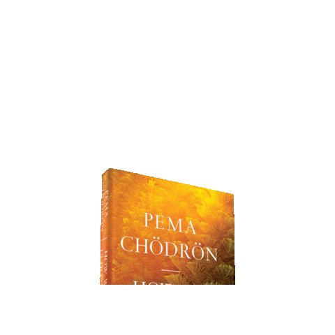 Shambhala Publications Sticker