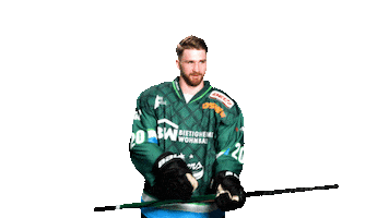 Bietigheim Steelers Sticker