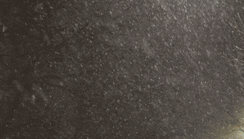 Kurmanbekmyrzaev GIF