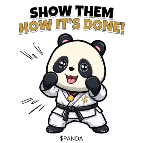 Martial Arts Fighting GIF by PandaMania