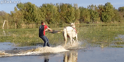Silver Chariot GIF - Silver Chariot Spin - Discover & Share GIFs