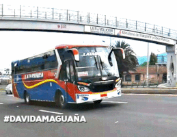 luismiguelsanchez  GIF