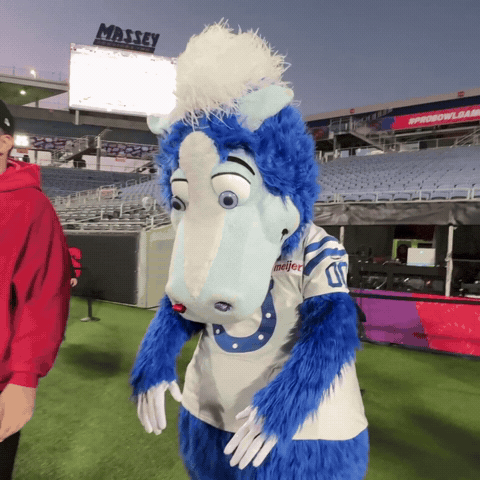 Indianapolis Colts Football GIF