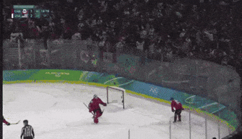 Team Usa GIF