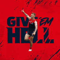Melbourne Demons Game GIF by Melbournefc