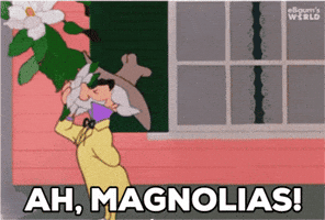 Looney Tunes GIF