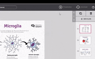 Neuroscience Presentation GIF