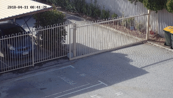 Gardening Themews GIF