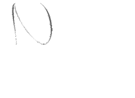 Boston Newburystreet Sticker by Avantage Newbury