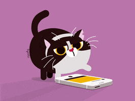 Illustrated gif. Bored cat scrolls on a phone, then suddenly perks up with a gleam in its eye when a heart icon appears overhead.