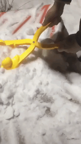 Snow Duck GIF