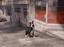 200.gif