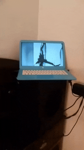 Mujuinsta My Favourite GIF