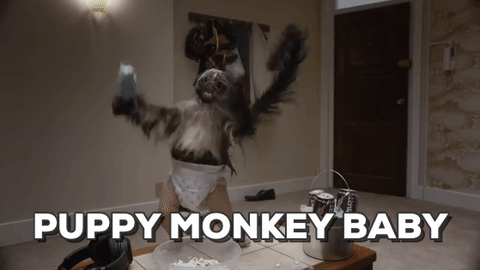 Download Puppy Monkey Baby Gifs Get The Best Gif On Giphy