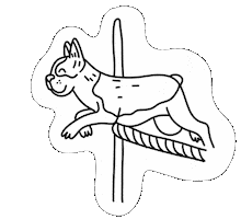 Boston Terrier Dog Sticker