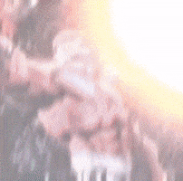 Nasir GIF