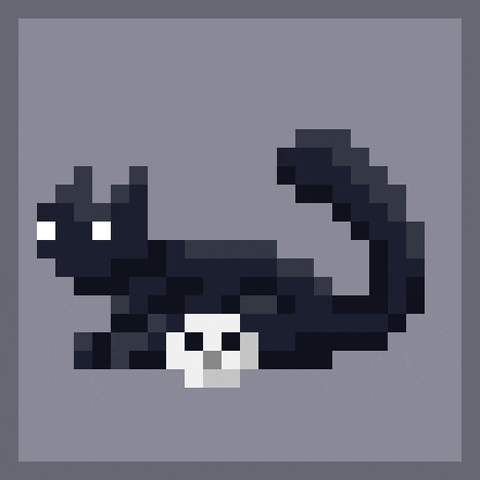 Laying Black Cat GIF
