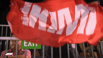 Kimi Raikkonen Flag GIF by Formula 1